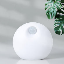 Pet Deodorizer Home Litter Basin Air Purifier
