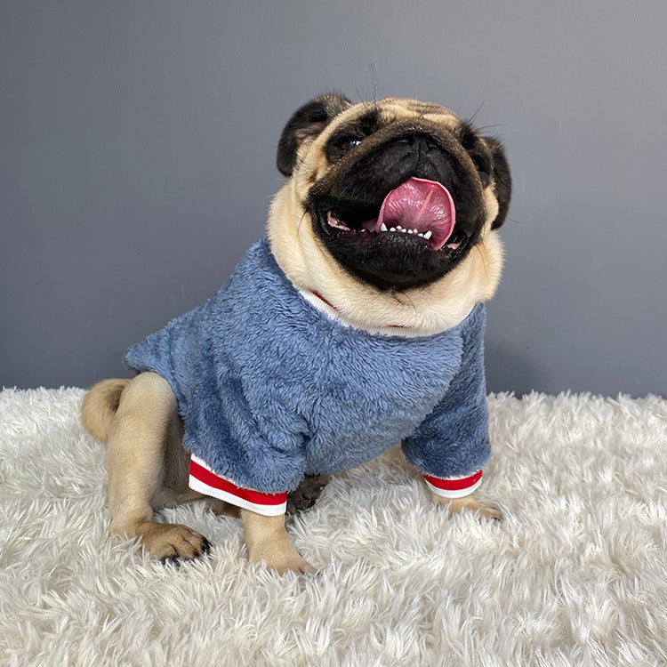 PET APPAREL