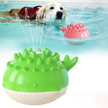 Swimming Bathing Water Spray Dog Toy