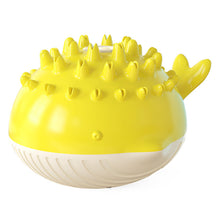 Swimming Bathing Water Spray Dog Toy
