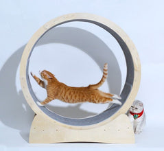 Toys For Cat Treadmill Roller