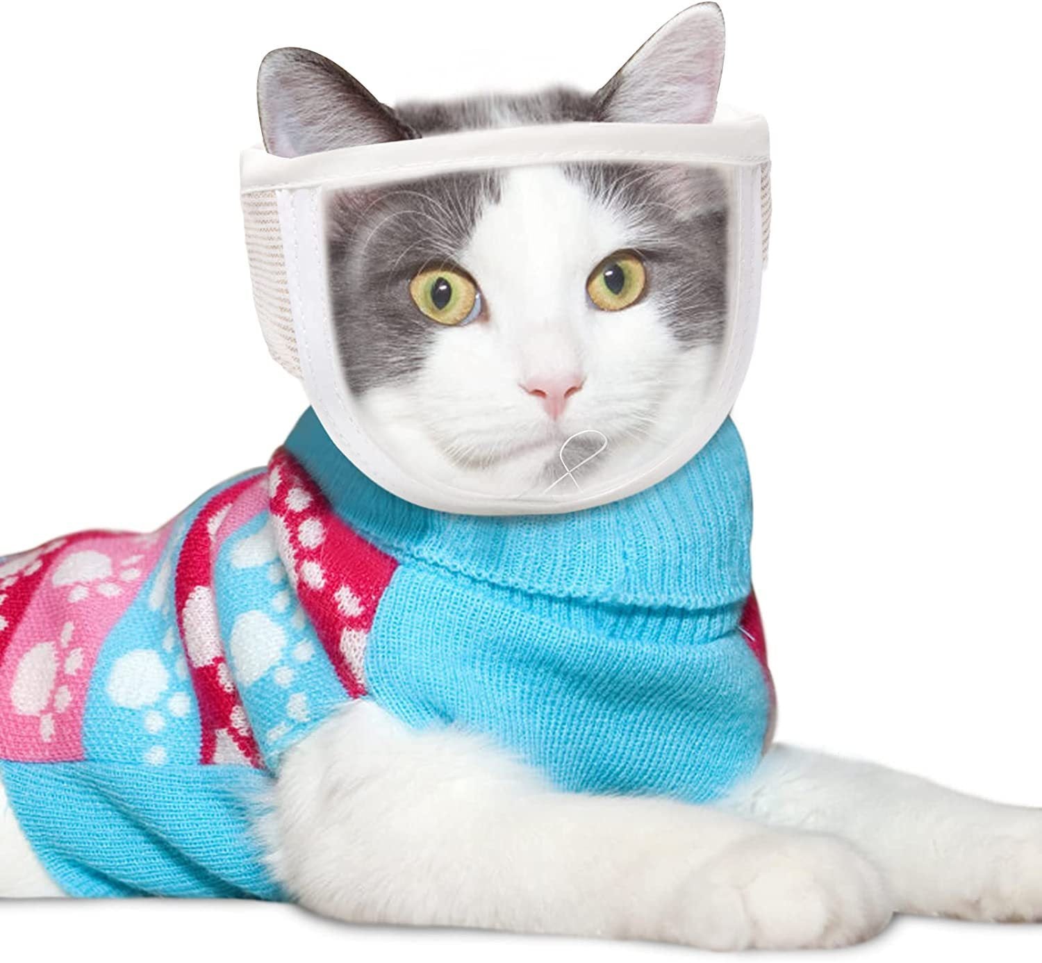 PET ACCESSORIES