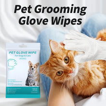 Pet Disposable Cat Dog Dry Cleaning Gloves