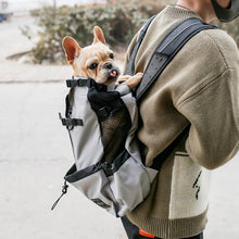 Pet Dog Bag Carrier