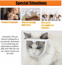 Pet Anti Bite Puppy Kitten Muzzles