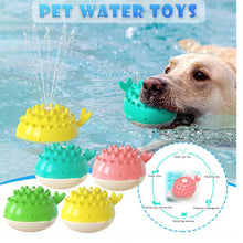 Swimming Bathing Water Spray Dog Toy