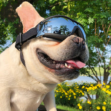 Pet Sunglasses Dog Windproof Accessories