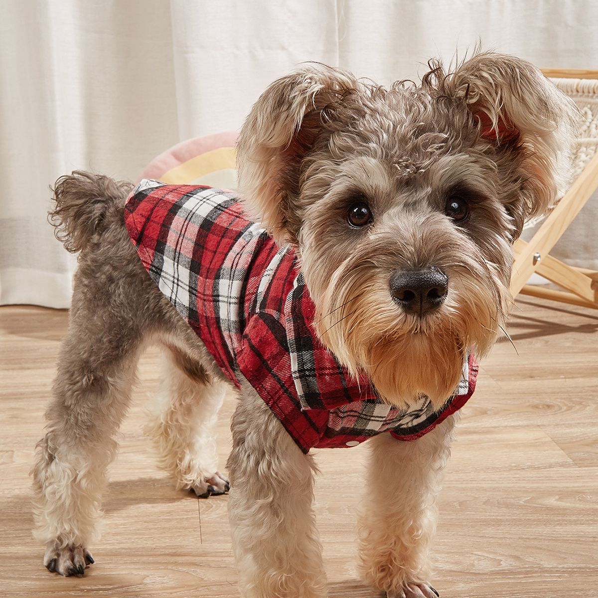 PET APPAREL