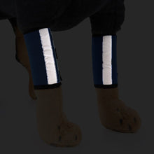 407212091