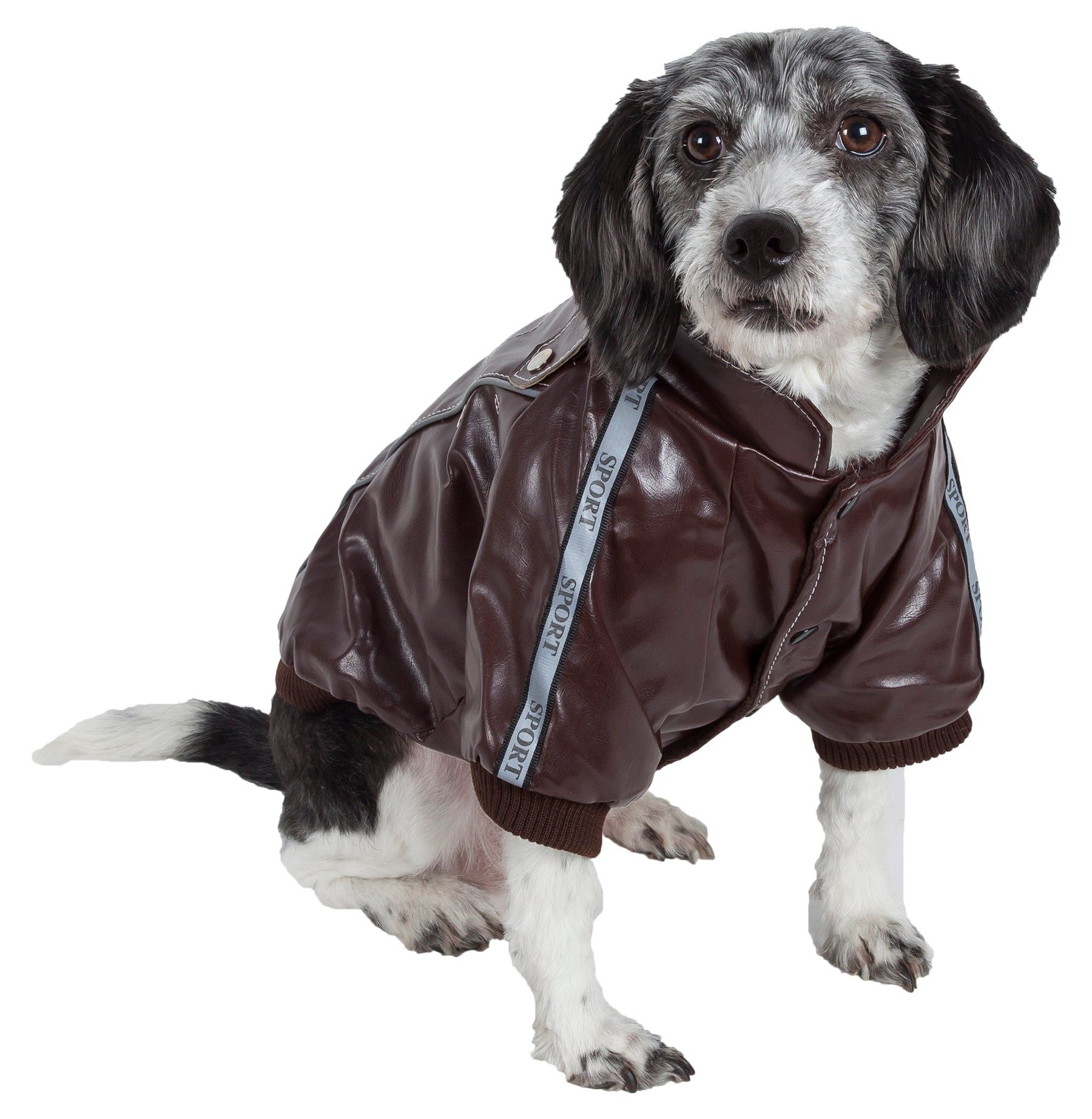 PET APPAREL