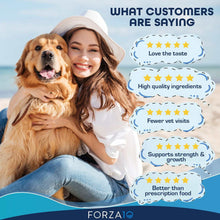 Sensitive Dog Joint pain relief for older dogs