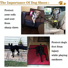 Large dog wearing waterproof dog shoes outdoors.