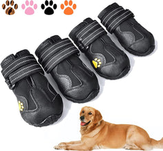 Waterproof dog shoes on small dog walking in the rain.