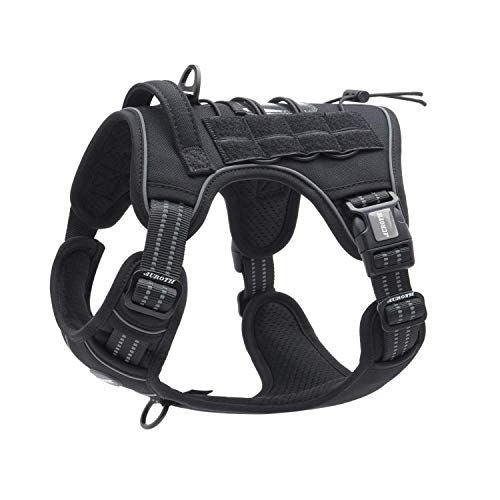 COLLAR, HARNESSES & LEASHES